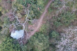 DJI_0104