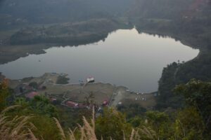 NRJ_8688
